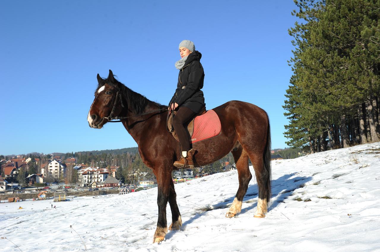 Klub Satelit Zlatibor Bed & Breakfast エクステリア 写真